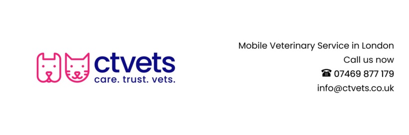 home visit mobile veterinary service